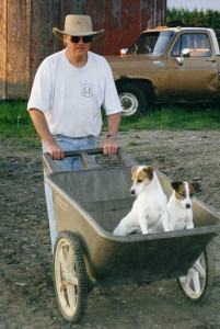 dogs-on-farm two