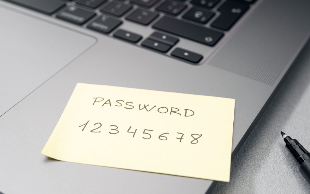 Password so ridiculous as to be unbelievable.