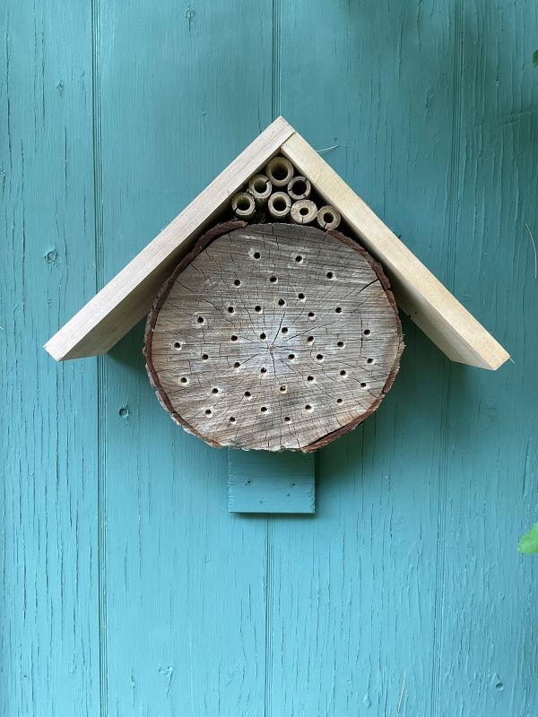 bee lodge